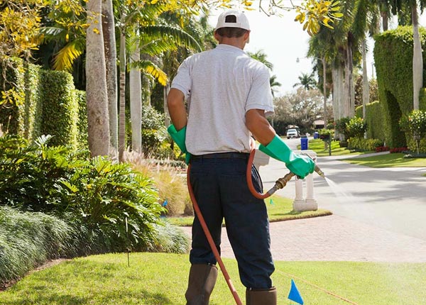 About Glasgow KY Pest Control